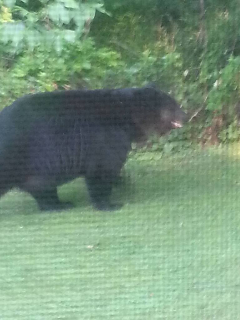 1015678_10101076497352584_912579087_o