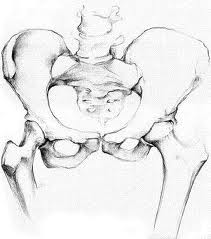 PRI-Pelvis