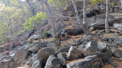 10690040_10101918327972274_6767555289495682385_n