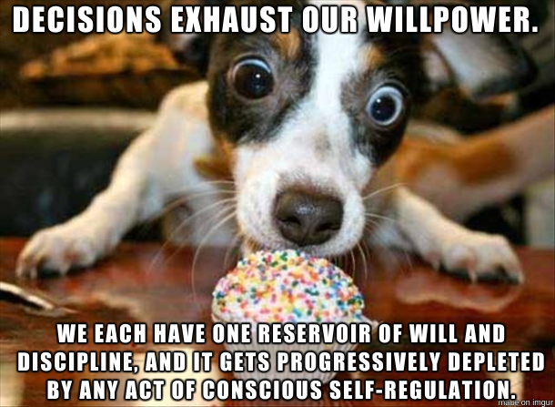 post-44157-dog-cupcake-willpower-meme-Img-MOlx