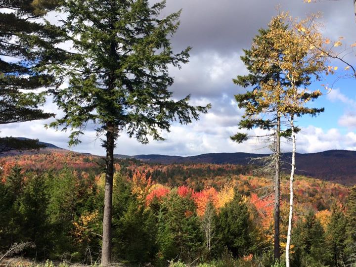 12112082_10153761264718060_7700072470595459743_n