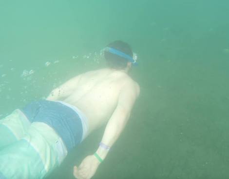 11017491_10102380591507444_3108831059177045028_n