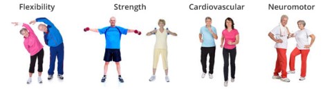 four-components-senior-fitness-training-programs